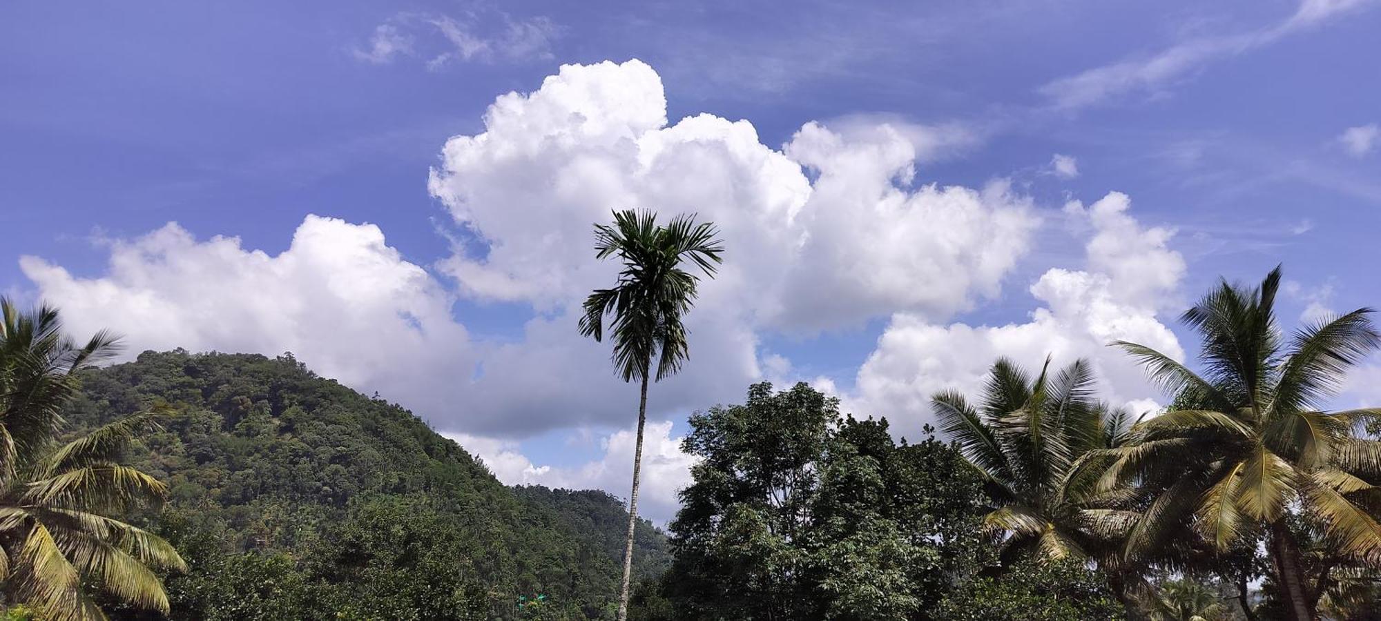 Himadri Munnar Holidays Exteriör bild